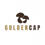GOLDEN CAP - LOGOTIPO - PRINCIPAL 01
